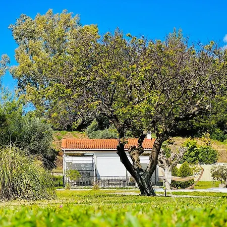 Maison d'hôtes Gazonia Family Estate 4*