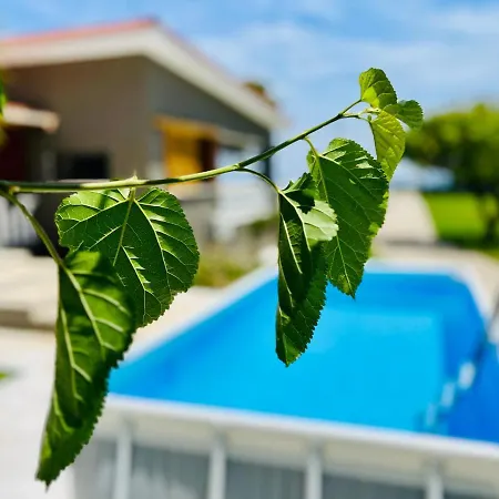 Gazonia Family Estate Maison d'hôtes 4*