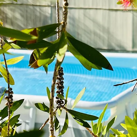 Maison d'hôtes Gazonia Family Estate Skala (Kefalonia)