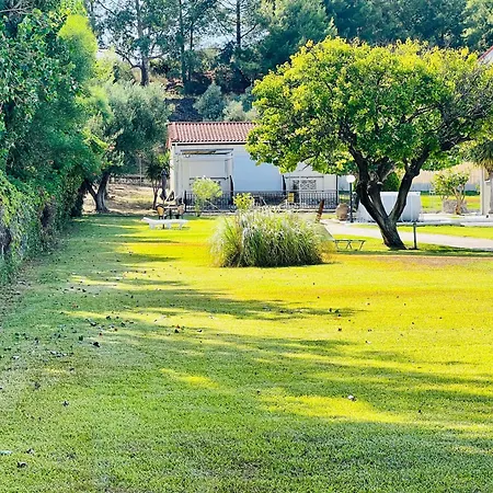 Gazonia Family Estate