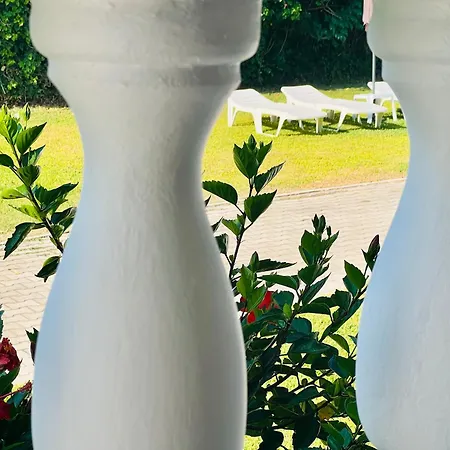 Gazonia Family Estate